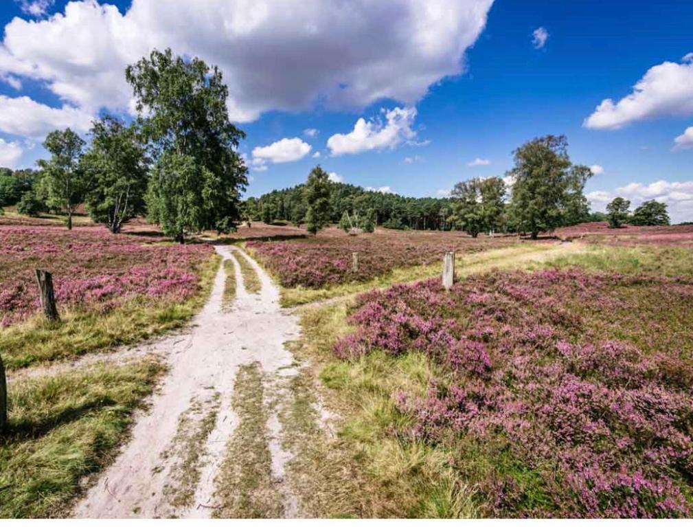 Feelslikehome - Reihenhaus Zwischen Hamburg Und Heide Mit Garten&Garage 新武尔姆斯托夫 外观 照片